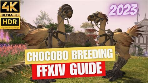 chocobo breeding ffxiv